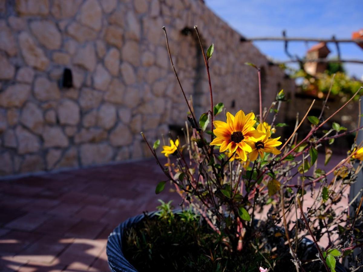 Secret Wellness Apartment Bodonci ภายนอก รูปภาพ